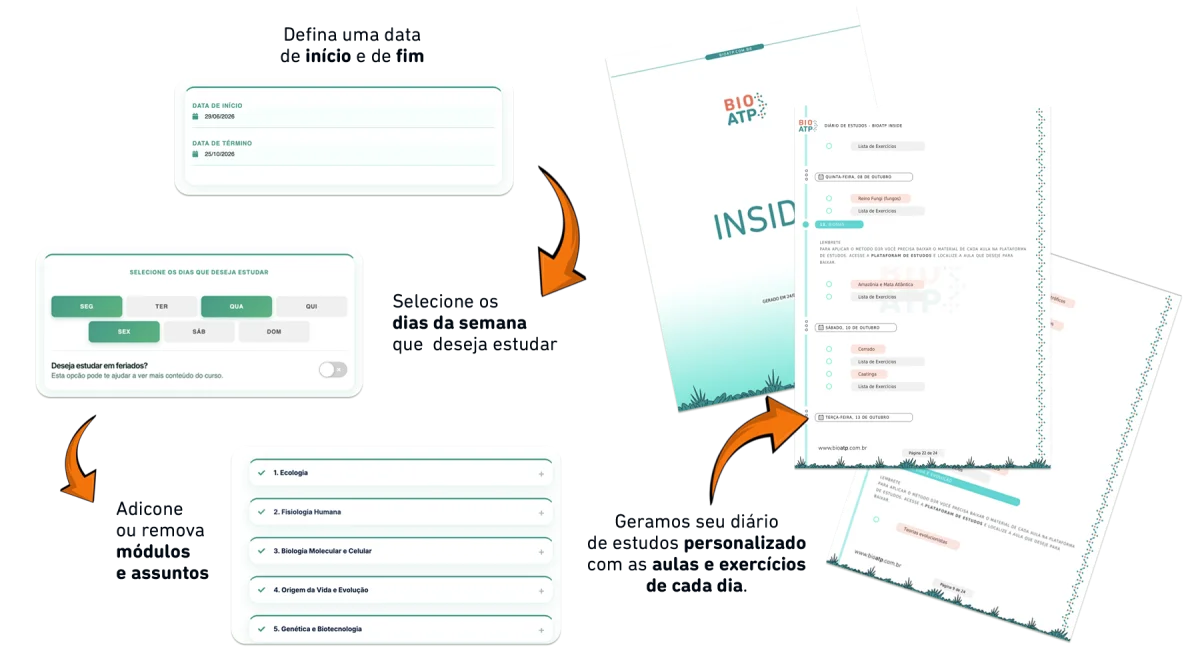 Diário D3R BioATP — esquema de organização