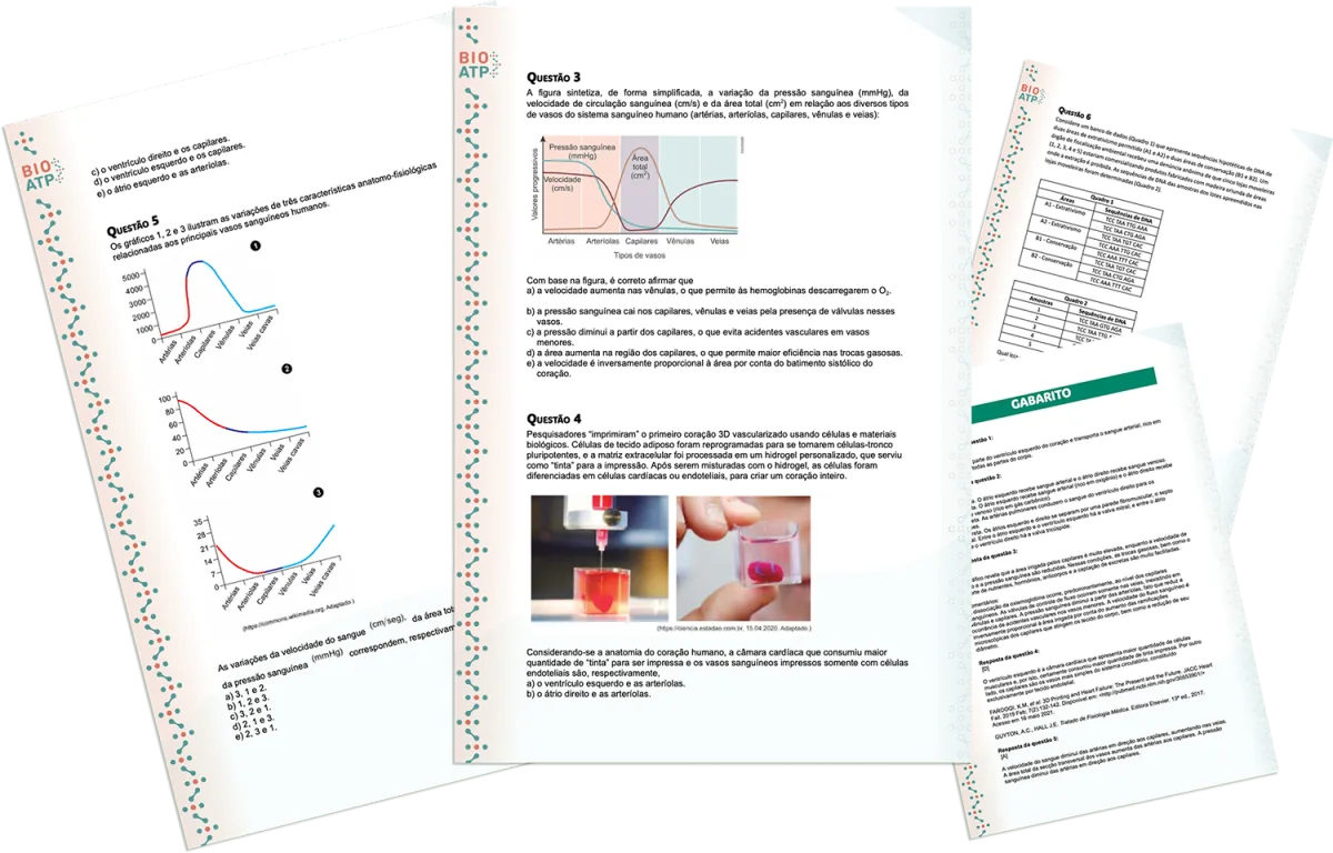 Exercícios BioATP